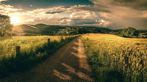 Nature Road Sky Clouds Grass Sunset Landscape Summer Trees