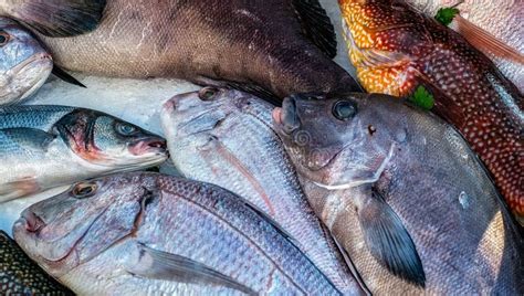 Fresh Fish On Ice Stock Photo Image Of Healthy Diet 111621928