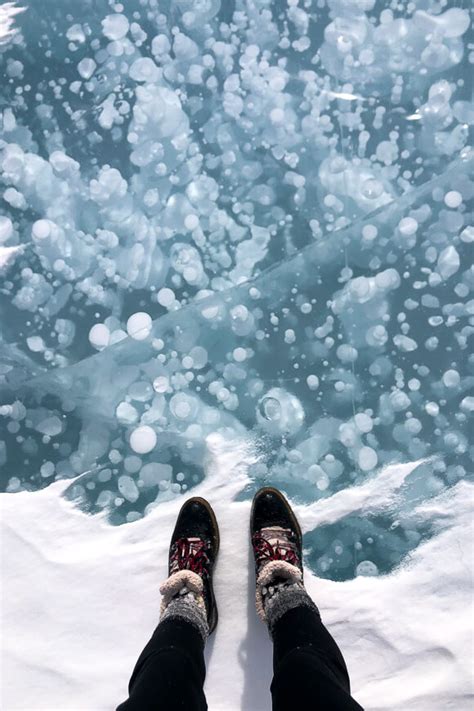 How To See The Frozen Methane Bubbles Of Abraham Lake Alberta