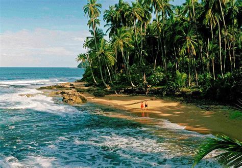 Beaches, cities, national parks, places to stay, food and drink. Caribbean Beaches Costa Rica