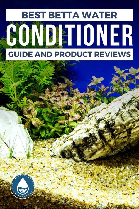Best Betta Water Conditioner—guide And Product Reviews Betta