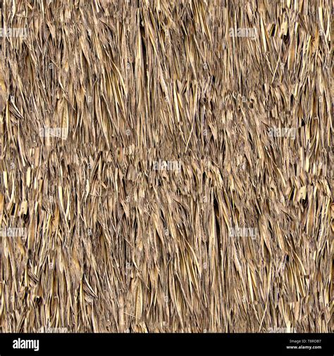 Straw Roofing Seamless Texture Tile Stock Photo Alamy