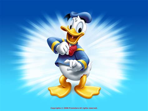Free hd wallpaper, images & pictures of donald duck disney, download images & pictures of donald duck disney wallpaper download 7 photos. Donald Duck Wallpaper - Disney Wallpaper (6638047) - Fanpop