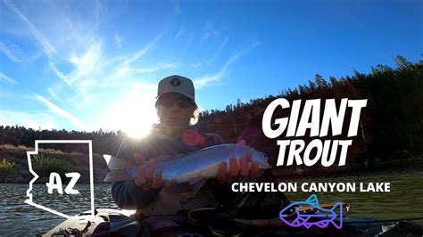 Giant Trout Fly Fishing Chevelon Canyon Lake Az Mongollon Rim Youtube