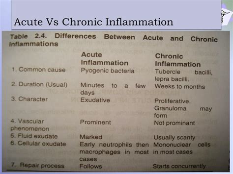 Chronic Inflammation Of The Placenta Definition C6b