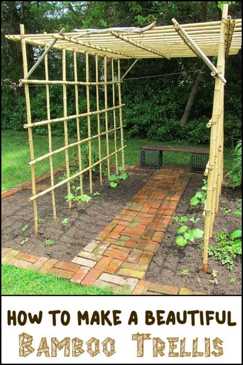 I didn't know that bamboo grows in washington. DIY Bamboo Trellis | Bamboo garden, Bamboo trellis, Garden ...