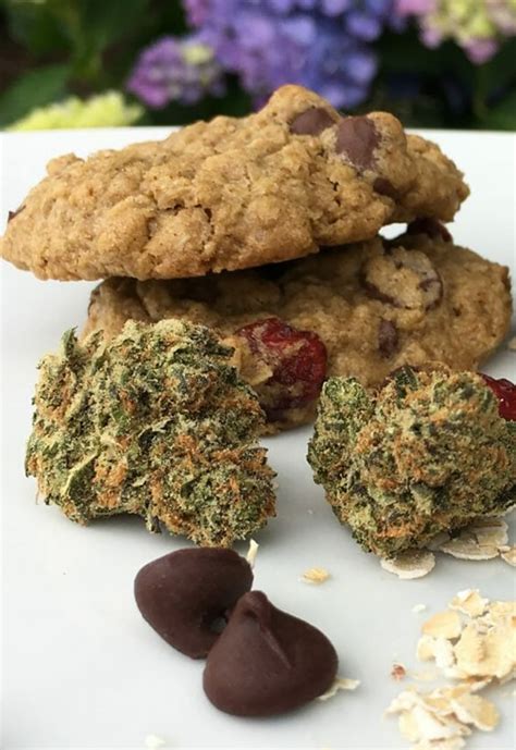Weed Cookie Recipes 12 Cannabis Cookies For An Extra Happy Holiday
