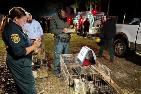 Florida Woman Arrested After 309 Animals Seized From Mobile Home