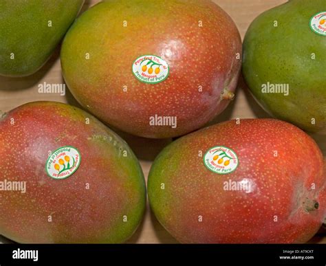 Exotic Mango Fruits From Peru With Label Stock Photo Alamy