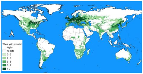 Resources Free Full Text Global Wheat Production And Threats To
