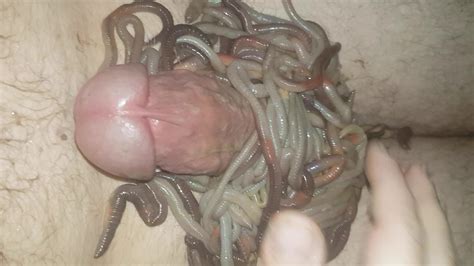 Worms On Cock
