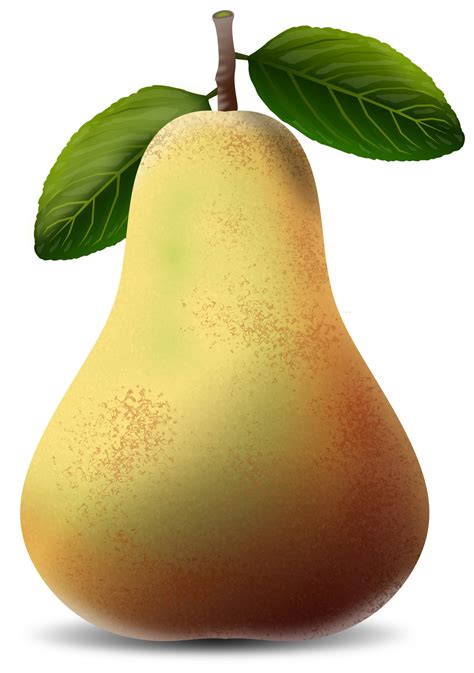 A Pear Free Stock Photo Public Domain Pictures