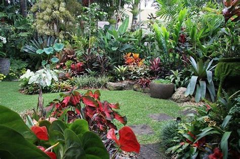 Tropical Ideas For Small Backyards Ztil News