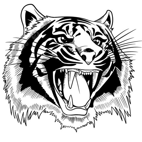 Tiger Head Tiger Roar Tiger Png Tiger Art Png And Vector With