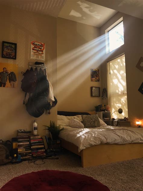 The Natural Light In My Bedroom Rcozyplaces