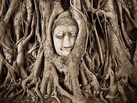 Spiritual Roots