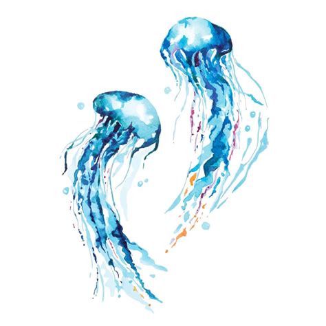 Download Hand Drawn Blue Jellyfish Watercolor Vector Art Choose From