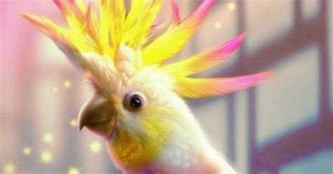 Fantasy White Yellow Pink Parrots Magic Mohawk Birds 1280x1024
