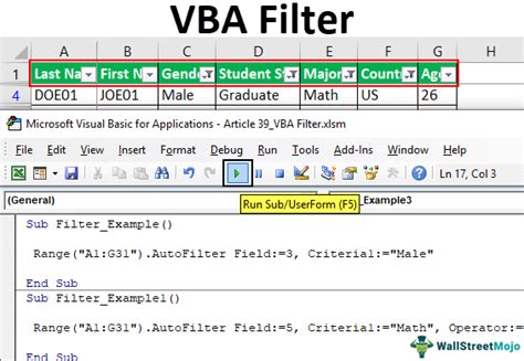 How To Apply And Delete Filter From Data Using Vba