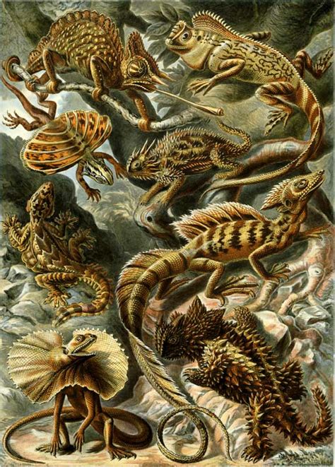 Ernst Haeckel