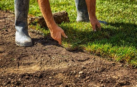 This last step ensures that the sod you lay will have all the nutrients fill a lawn roller ¾ full of water and walk it over the entire sod. When Can You Mow A New Sod Lawn - A Green Hand