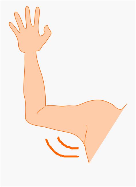 Cartoon Arm Clipart 10 Free Cliparts Download Images On Clipground 2024