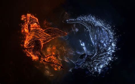 Water And Fire Wolf Wallpapers Top Free Water And Fire Wolf