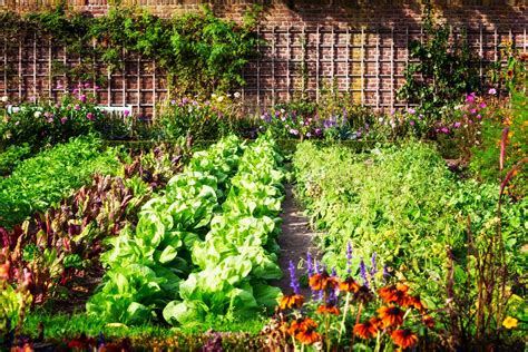 How To Prepare Your Garden For Warmer Weather