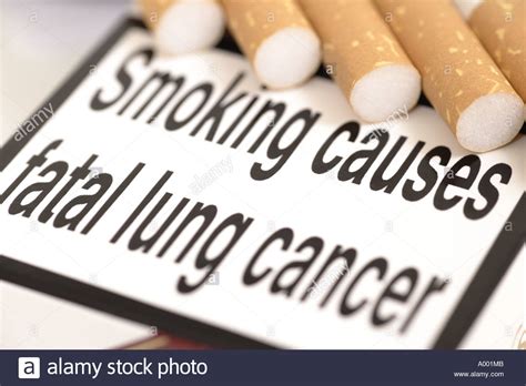 Healthy Lung And Smokers Lung Stock Photos & Healthy Lung 