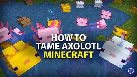 How To Keep Your Axolotls From Despawning In Minecraft Mudfooted