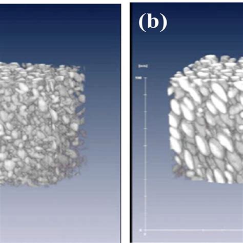 Fib‐sem Cross Sections Segmented Images And 3d Total Reconstructed Download Scientific