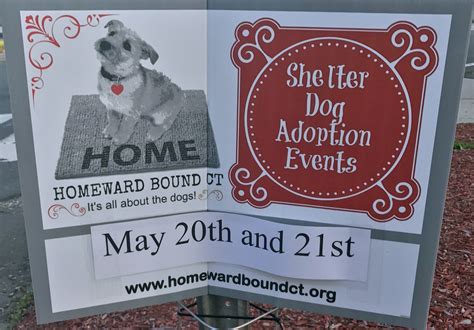 Pet adoptions temporarily paused due to covid. Homeward Bound CT Shelter Dog Adoption Event This Weeke