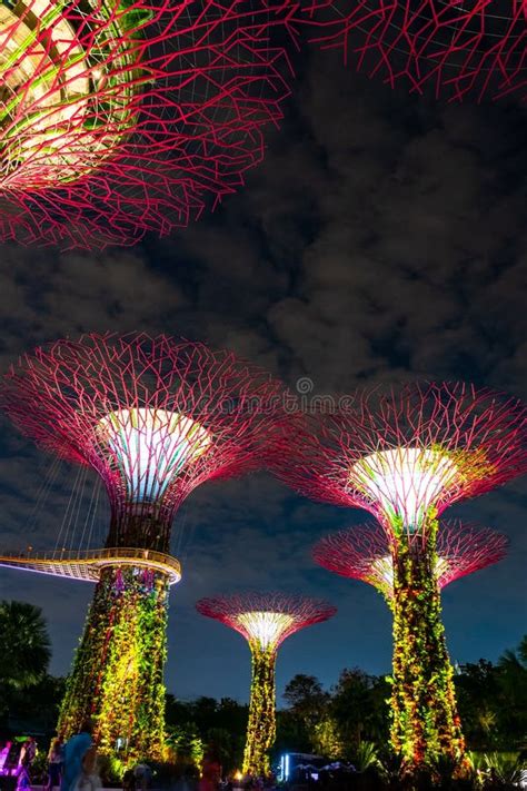 2019 February 28 Singapore The Scene Of The Supertree Night Light