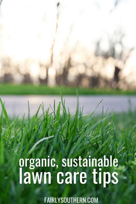 Essential Organic Lawn Care Guide How To Care For Your Lawn Naturally