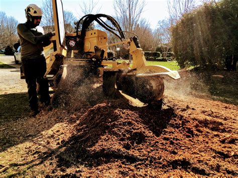 Stump Grinding Heartwood Tree Service