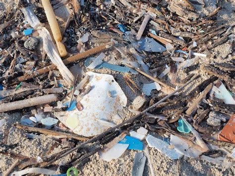 Contaminación Ambiental Playas De Arena Contaminadas Con Trozos De