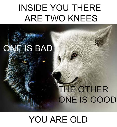 Youre Old Inside You There Are Two Wolves Know Your Meme