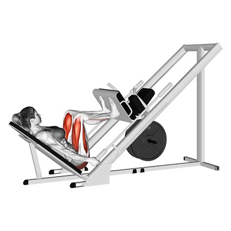 Best Leg Press Alternatives At Home With Pictures Inspire US