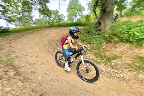 9 Best 20 Inch Mountain Bikes For Girls And Boys We Tested Every Bike