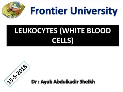 Lecture 9 White Blood Cells Ppt