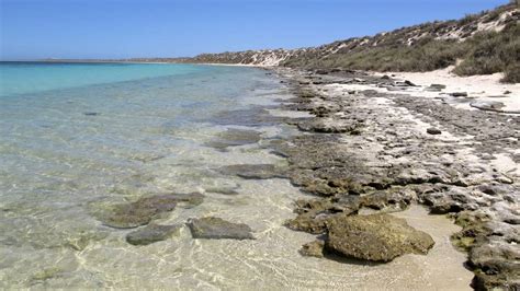 Beach Weather In Coral Bay Western Australia Australia In July