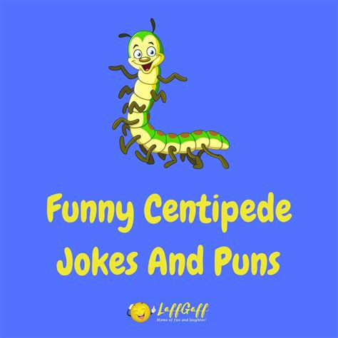 25 hilarious centipede jokes and puns laffgaff