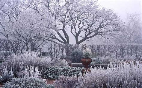 5 Tips To Creating The Perfect Winter Garden Fantastic Viewpoint