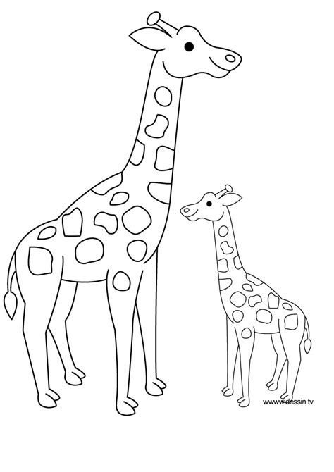 Coloriage Girafe 7259 Animaux Dessin à Colorier Coloriages à