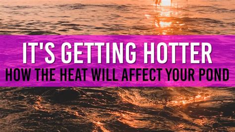 Understanding & Managing Hot Weather and Thunderstorms Impact on Your