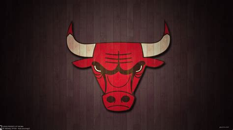 Download Chicago Bulls Basketball Court Logo Wallpaper