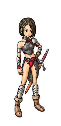 Warrior Dragon Quest Wiki