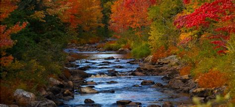 Beautiful Places In Michigan To Visit In The Fall Michigan