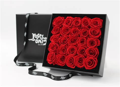 25 Red Infinity Preserved Roses Roses Only