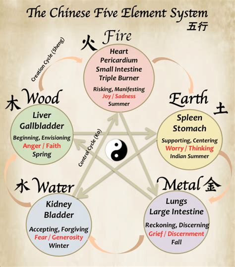 Five Elements Apovancouver